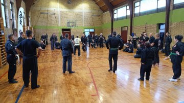 Мајстори нинђуцуа окупљени у Новом Бечеју