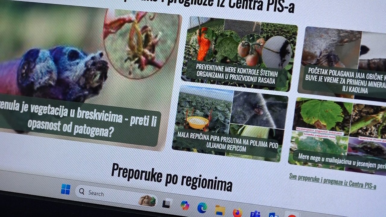 Уочена активност крушкине буве – потребна заштита 