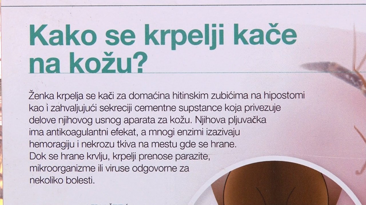 Опрез! Крпељи су свуда око нас