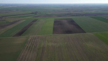 Киша може нанети штету усевима, али за процене приноса је још рано