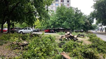 Током јучерашњег невремена оборено преко 25 стабала