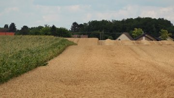 Жетвени радови се приводе крају, приноси на нивоу вишегодишњег просека