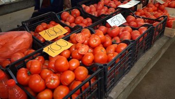 Куповни или домаћи кувани парадајз – шта бирају домаћице?