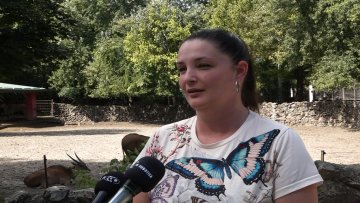 Занимљив програм Зоо-врта Палић за Дан града
