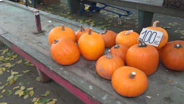 Бундева – „краљица јесени”