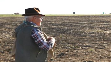 На салашу породице Бабичковић посејана стара сорта пшенице "банкут”