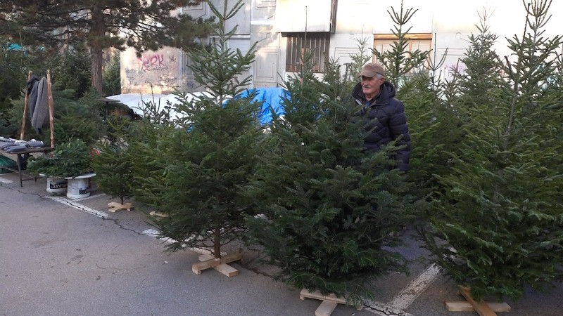 Колико новца треба издвојити за јелку?