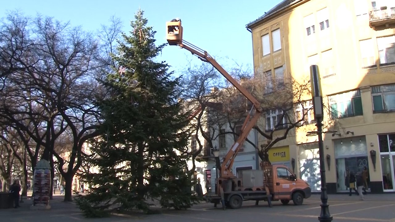 Тражи се јелка која ће красити центар града током празника