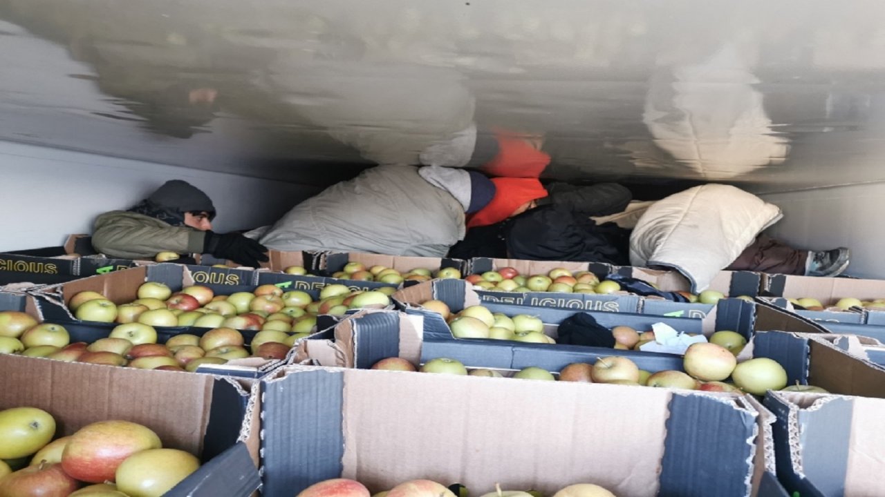 Мигранти у хладњачи пуној јабука