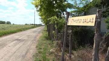 Побегли из града и нашли мир на салашу