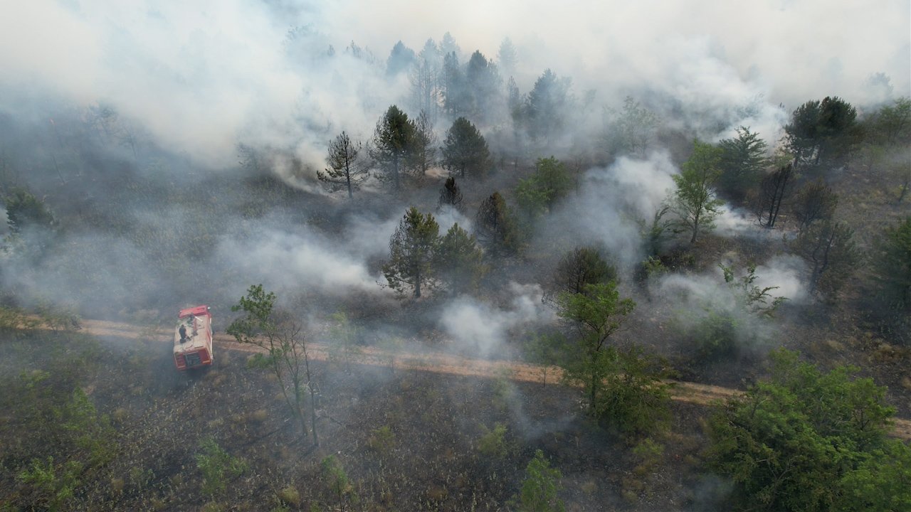 Изгорело више од 20 хектара шуме, ватрогасци и даље на терену