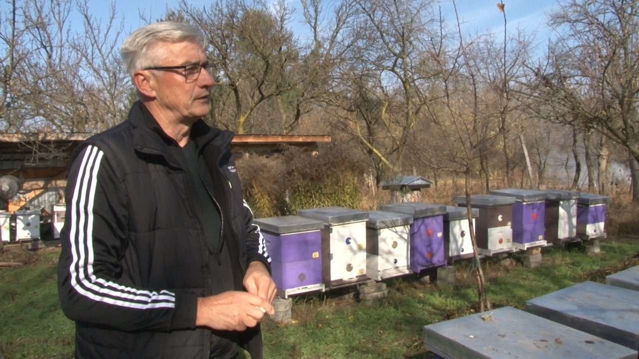 Пчеле спремне за зимски сан