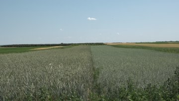 Органском производњом до смањења глобалног загревања