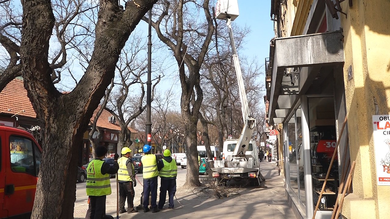 Почело пролећно орезивање стабала