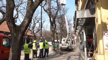 Почело пролећно орезивање стабала