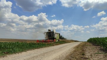 Жетва у пуном јеку – пшеница ће дати квалитетан род