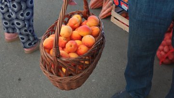 Последња шанса да се пазаре кајсије